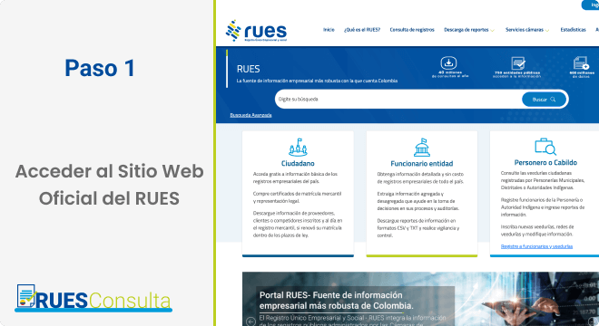 rues consulta paso 1